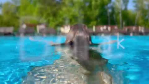 Adel online show from 01-14-26, 07:08