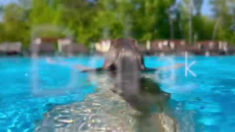 Adel online show from 02-28-26, 06:09