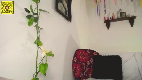 melissa online show from 02-11-25, 12:17