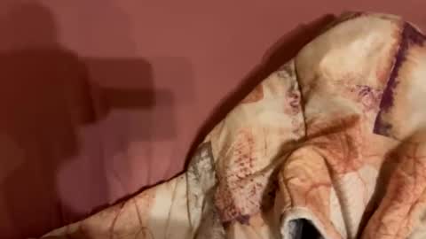 Snapshot of melissa9040 chatting on 02-09-26, 11:20 melissa9040 online show from 02-09-26, 11:20