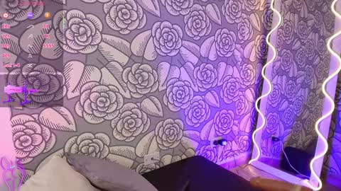 Snapshot of mellani_tay chatting on 01-27-25, 06:41 Mellani  online show from 01-27-25, 06:41