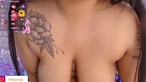 Snapshot of mellani_tay chatting on 02-03-25, 09:30 Mellani  online show from 02-03-25, 09:30