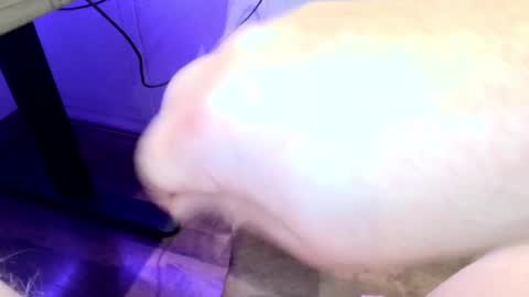 mellomike online show from 09-22-25, 06:32