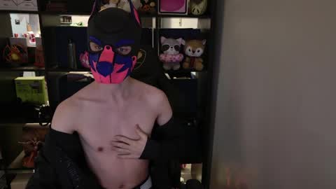 Snapshot of mellpup chatting on 03-30-26, 01:45 MellPUP online show from 03-30-26, 01:45