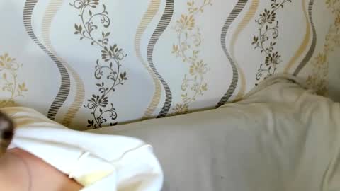 Snapshot of melmooon chatting on 10-15-25, 08:20 MelMooon online show from 10-15-25, 08:20