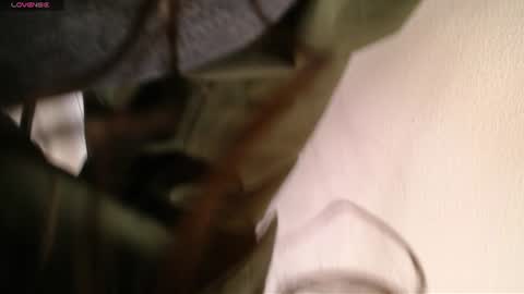 Melodi online show from 06-23-26, 12:58