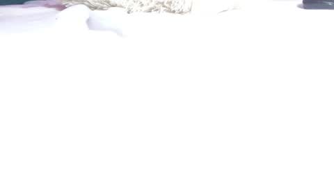 Snapshot of melody_mercy chatting on 03-12-25, 03:07 melody_mercy online show from 03-12-25, 03:07