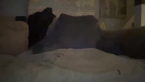 melt13 online show from 01-01-25, 02:41