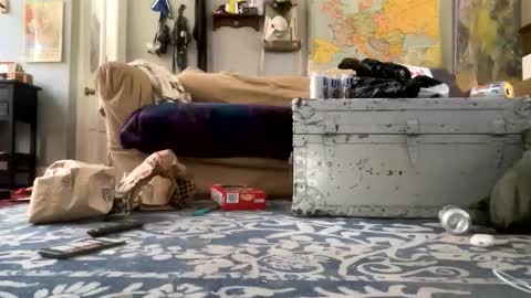 melt13 online show from 04-21-26, 02:45