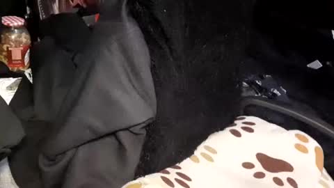 Snapshot of menyy666 chatting on 01-24-25, 04:16 Giorggio Fragacci online show from 01-24-25, 04:16