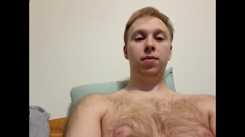 meow732 online show from 11-02-25, 07:49