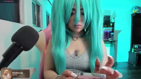 meowmelf online show from 12-02-25, 01:00