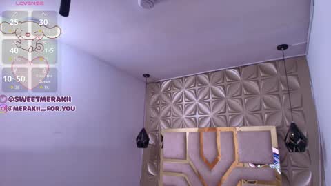 Snapshot of meraki_fraise chatting on 12-20-25, 03:02 online show from 12-20-25, 03:02