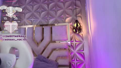 Snapshot of meraki_fraise chatting on 02-02-26, 03:05 online show from 02-02-26, 03:05