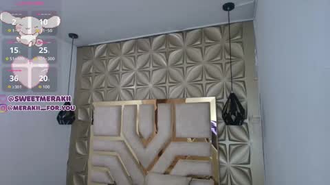 Snapshot of meraki_fraise chatting on 02-08-26, 02:48 online show from 02-08-26, 02:48