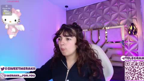 Snapshot of meraki_fraise chatting on 02-28-26, 02:45 online show from 02-28-26, 02:45