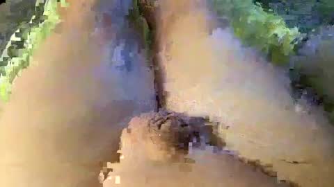 Snapshot of mewade chatting on 01-08-25, 01:42 Wade online show from 01-08-25, 01:42