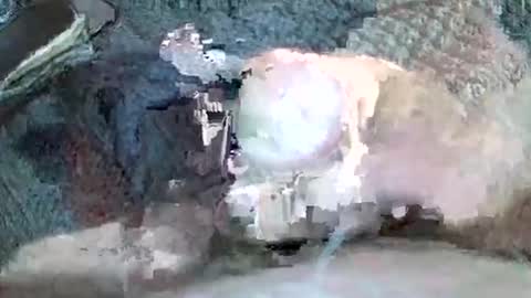 Snapshot of mexianthehawk chatting on 11-03-25, 11:22 mexianthehawk online show from 11-03-25, 11:22