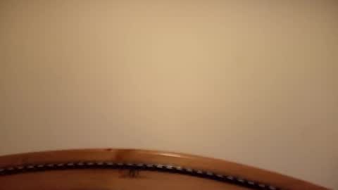 mhorny5 online show from 09-14-25, 08:41