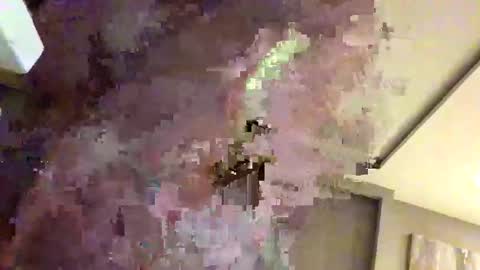 Snapshot of mi45419 chatting on 02-22-26, 03:29 mi45419 online show from 02-22-26, 03:29