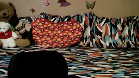 mia_rein online show from 06-26-26, 06:29