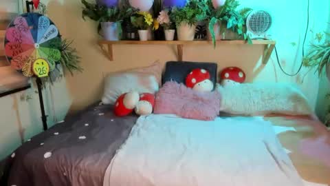 Miaa online show from 02-03-26, 06:24