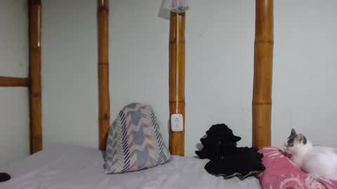 Mia  Sam online show from 03-01-25, 09:04