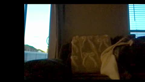 Snapshot of michaelt483 chatting on 02-21-26, 11:06 michaelt483 online show from 02-21-26, 11:06