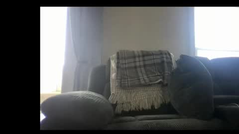 Snapshot of michaelt483 chatting on 03-24-26, 09:53 michaelt483 online show from 03-24-26, 09:53