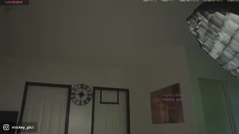 Snapshot of mickey_pict chatting on 07-02-26, 05:02 Mickey online show from 07-02-26, 05:02