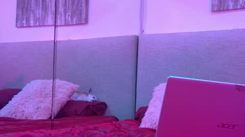 Snapshot of mickeyshyne69 chatting on 11-27-25, 04:25 Mickey online show from 11-27-25, 04:25