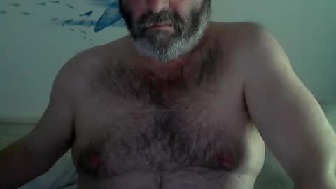 Snapshot of midhir chatting on 01-28-25, 06:39 kike online show from 01-28-25, 06:39