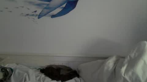 Snapshot of midhir chatting on 01-31-25, 04:59 kike online show from 01-31-25, 04:59