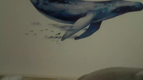 Snapshot of midhir chatting on 02-27-25, 02:43 kike online show from 02-27-25, 02:43