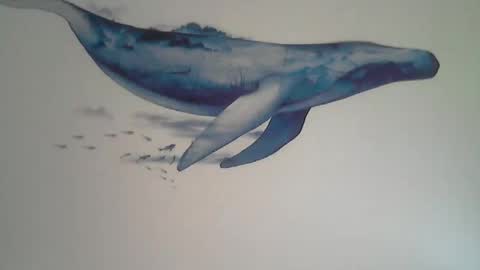 Snapshot of midhir chatting on 12-01-25, 02:33 kike online show from 12-01-25, 02:33