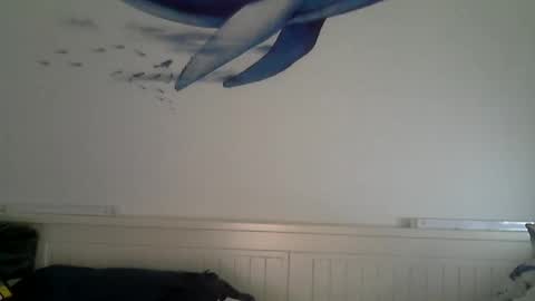 Snapshot of midhir chatting on 12-04-25, 02:48 kike online show from 12-04-25, 02:48