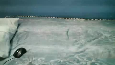 Caddy online show from 11-01-25, 08:00