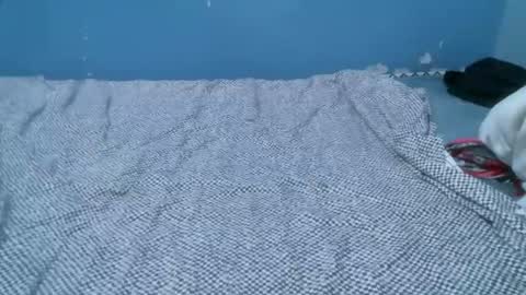 Caddy online show from 04-21-26, 07:17