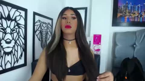 Snapshot of miha_califa chatting on 06-03-26, 01:03 miha_califa online show from 06-03-26, 01:03
