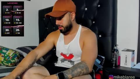 Snapshot of mikeblaree chatting on 01-17-26, 05:05 mikeblaree online show from 01-17-26, 05:05