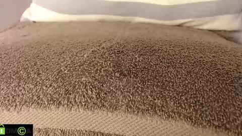 Mikell Williams online show from 03-11-25, 08:53