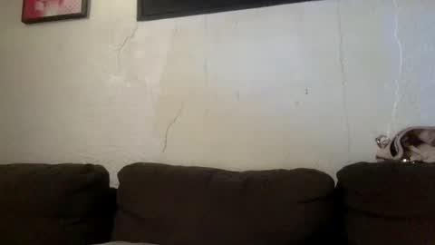 Snapshot of milfsfreaky69 chatting on 05-24-26, 03:17 BabygirlsFreaky online show from 05-24-26, 03:17
