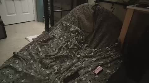 Snapshot of milky479 chatting on 03-09-26, 08:40 milky479 online show from 03-09-26, 08:40