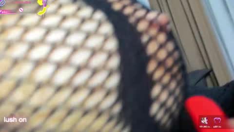 Snapshot of mira_fantasy chatting on 10-08-25, 04:32 mira_fantasy online show from 10-08-25, 04:32
