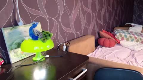 Mira online show from 06-14-26, 07:43
