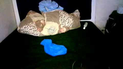 Snapshot of misscuteberry chatting on 01-07-26, 08:39 VAL online show from 01-07-26, 08:39