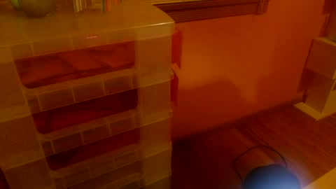 MissKittyFox online show from 06-25-26, 04:56