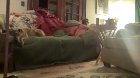 Snapshot of mizzstorm13 chatting on 03-15-26, 03:45 Mizz Storm online show from 03-15-26, 03:45