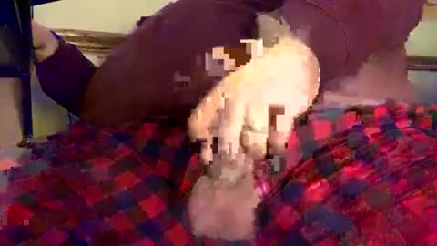 mnguy19726969 online show from 12-18-24, 06:25