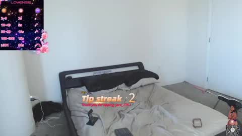 NynaStax online show from 12-08-24, 07:00